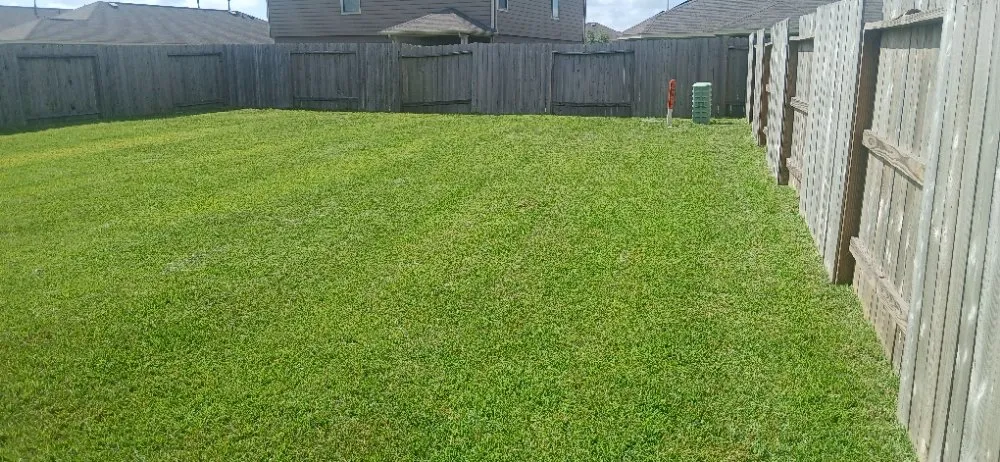 Top-rated landscape installation experts serving Alvin, TX - J E Lawn Innovation