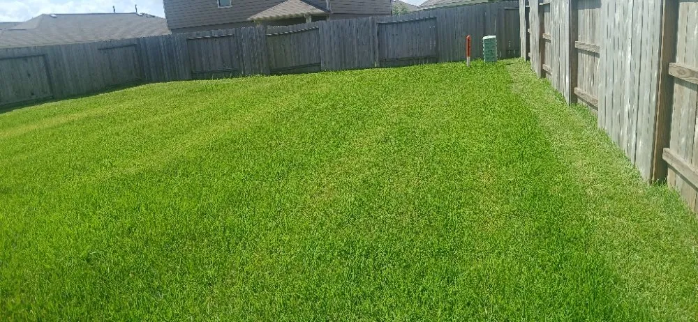 Professional lawn care service experts serving Alvin, TX - J E Lawn Innovation