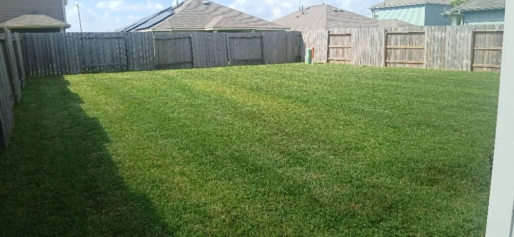 Local yard cleanup service experts serving Alvin, TX - J E Lawn Innovation
