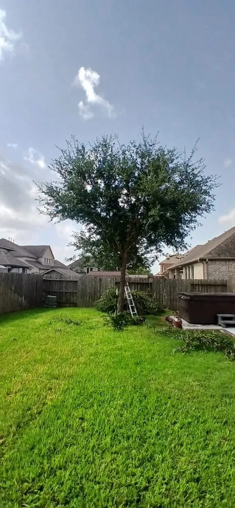 Professional lawn care service for outdoor upgrades in Alvin, TX by J E Lawn Innovation