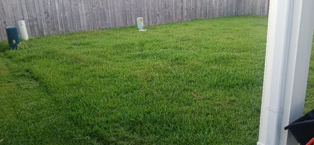 Trusted lawn care service experts serving Alvin, TX - J E Lawn Innovation