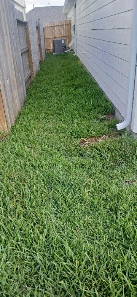 Professional residential landscaping with custom design in Alvin, TX by J E Lawn Innovation