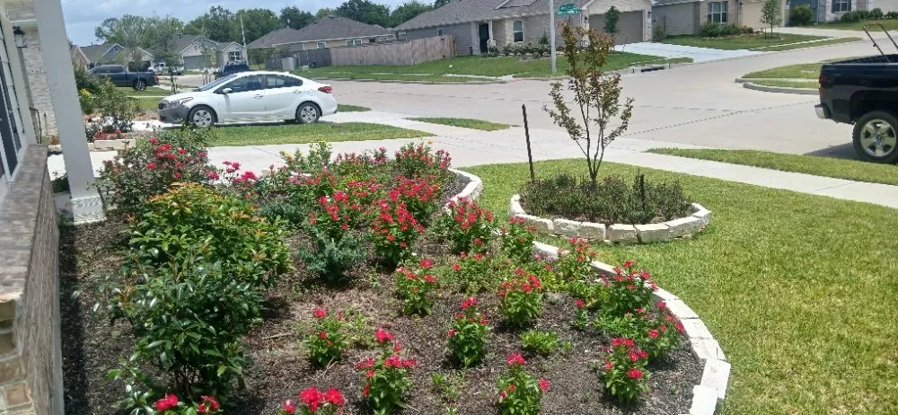 Custom lawn care service in Alvin, TX by J E Lawn Innovation