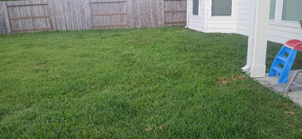 Reliable outdoor landscaping experts serving Alvin, TX - J E Lawn Innovation