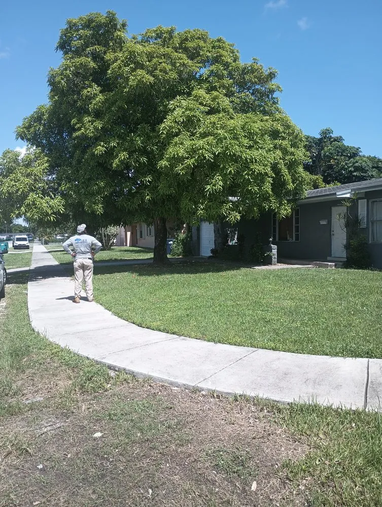 Affordable lawn care service in Miami, FL by J E S Lawn Care