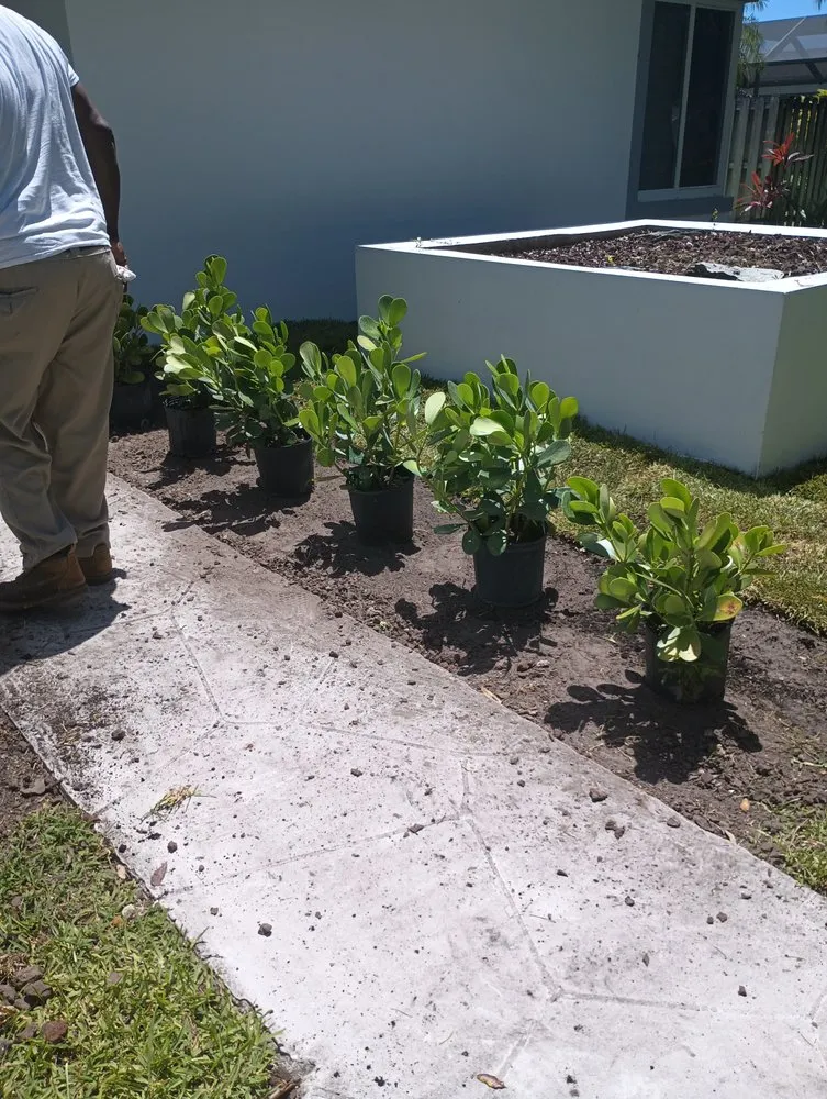 Local landscape design in Miami, FL - J E S Lawn Care