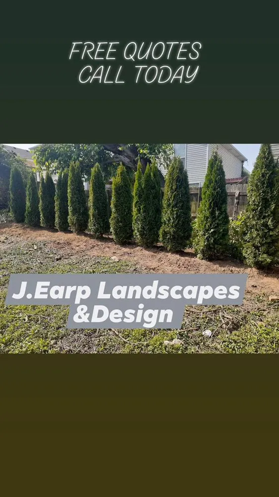Reliable yard cleanup service in Louisville, KY by J Earp Landscape
