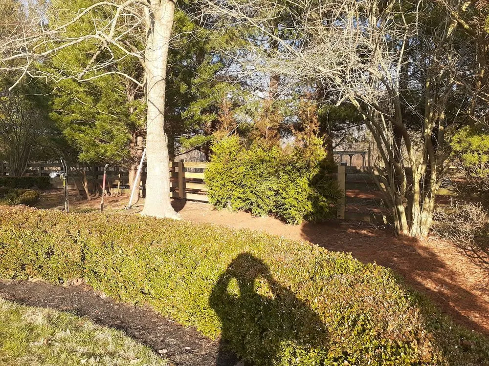 Affordable residential landscaping for outdoor upgrades in Louisville, KY by J Earp Landscape