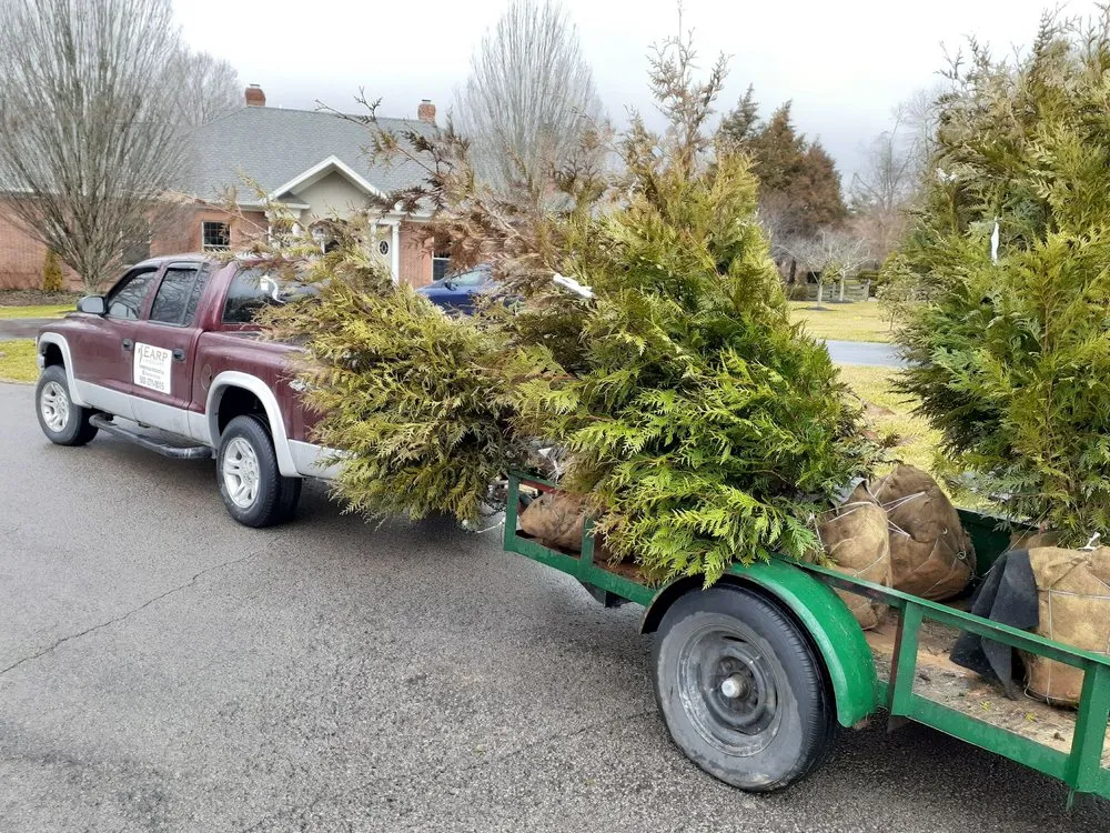 Professional lawn care service in Louisville, KY - J Earp Landscape