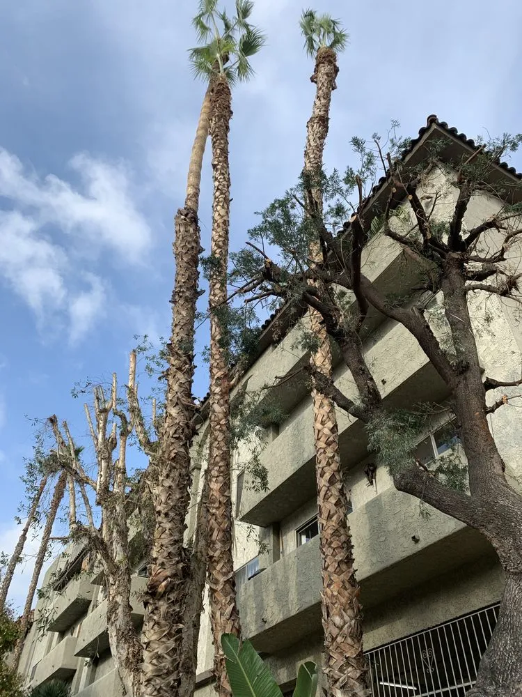 Affordable residential landscaping in Azusa, CA by J Eduardo Coc