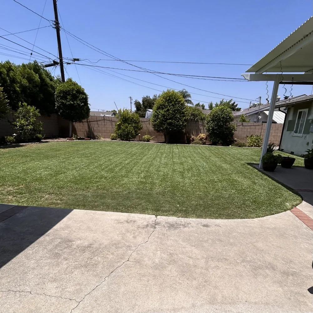 Expert yard cleanup service near you in Azusa, CA by J Eduardo Coc