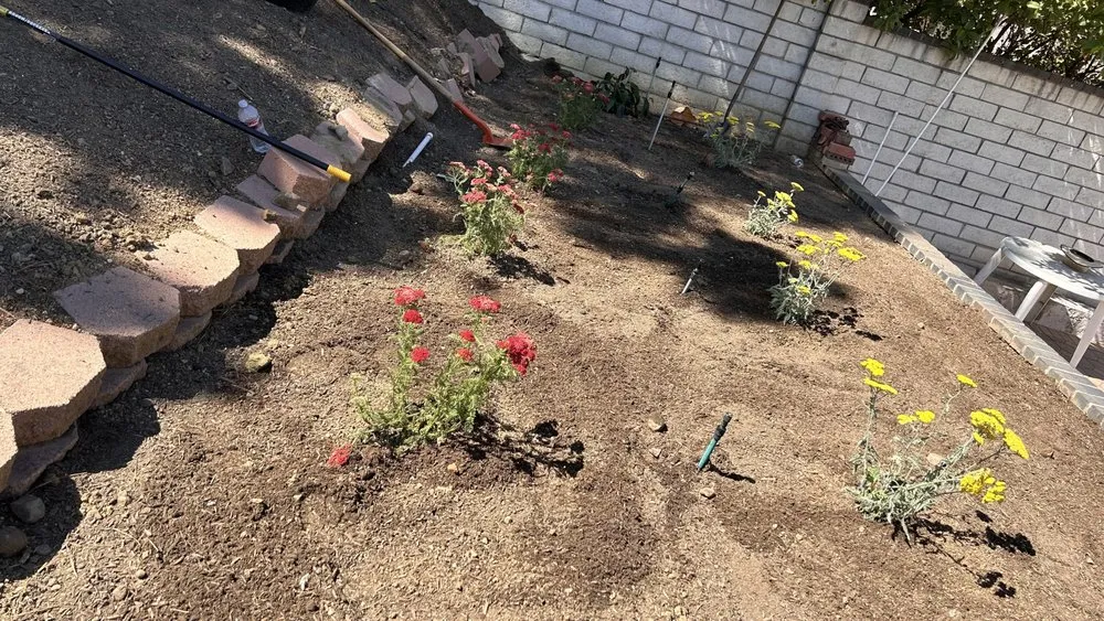 Professional landscape installation in Azusa, CA by J Eduardo Coc