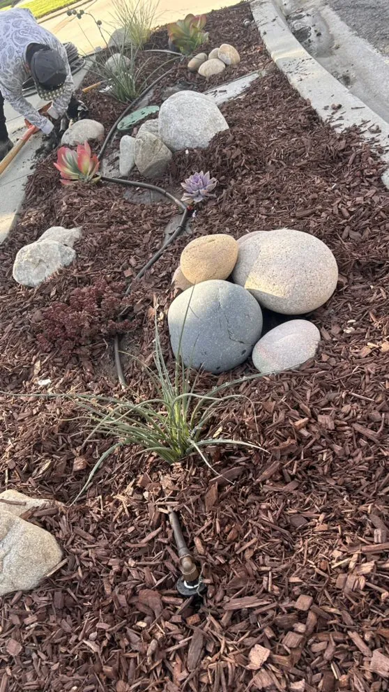 Custom yard cleanup service in Azusa, CA - J Eduardo Coc