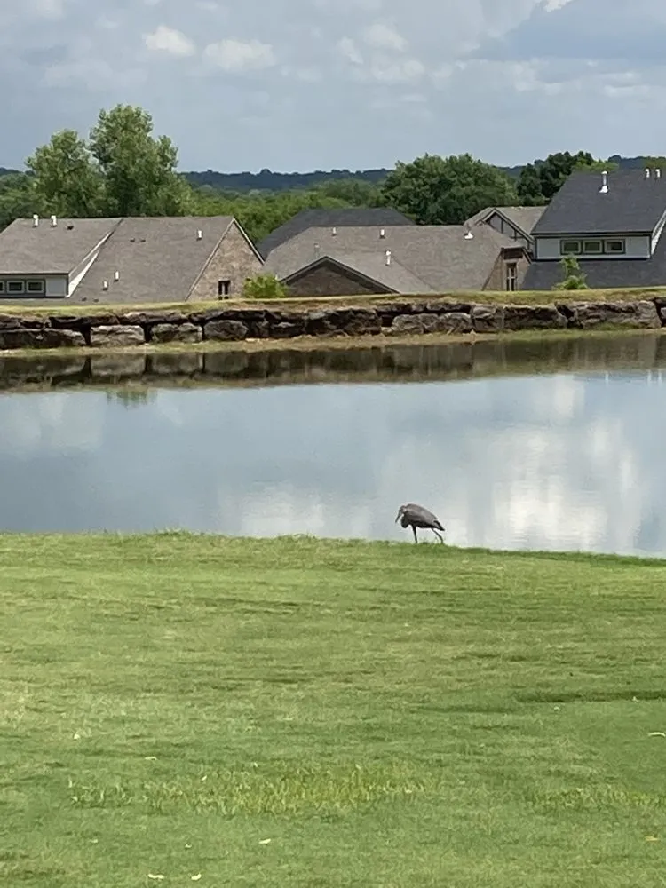 Expert yard maintenance for year-round maintenance across Gallatin, TN - J Elias