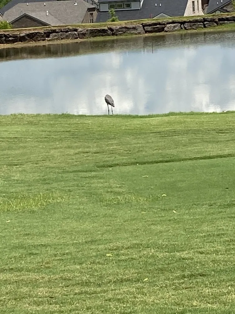 Expert landscape design in Gallatin, TN - J Elias