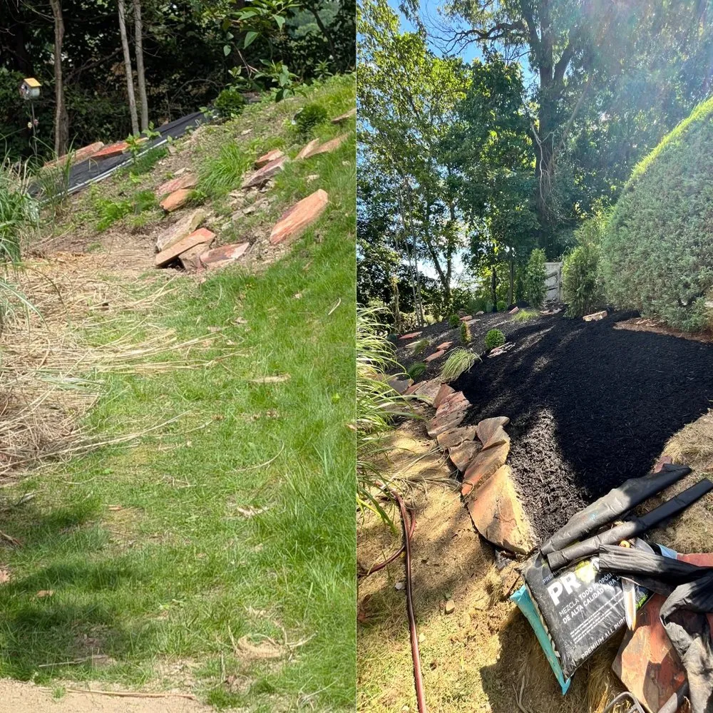 Expert yard cleanup service experts serving Butler, PA - J Evans Landscape & Hauling