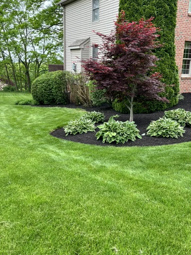 Trusted lawn mowing service experts serving Butler, PA - J Evans Landscape & Hauling