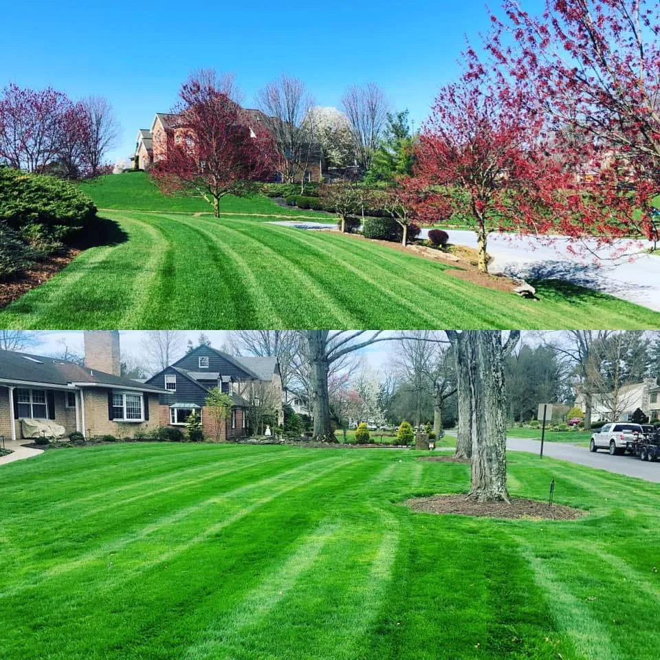 Affordable yard cleanup service in Quarryville, PA by J. Evans Property Services