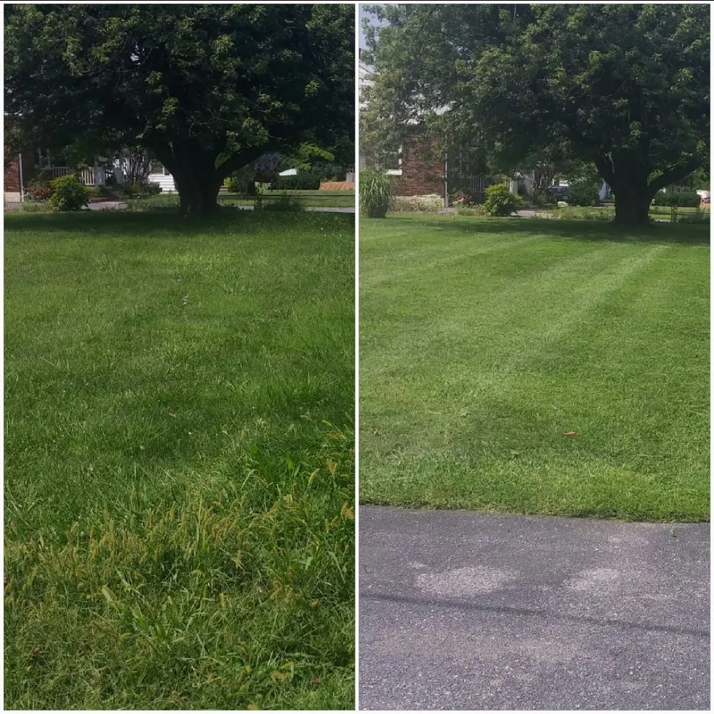 Affordable landscape installation experts serving Quarryville, PA - J. Evans Property Services