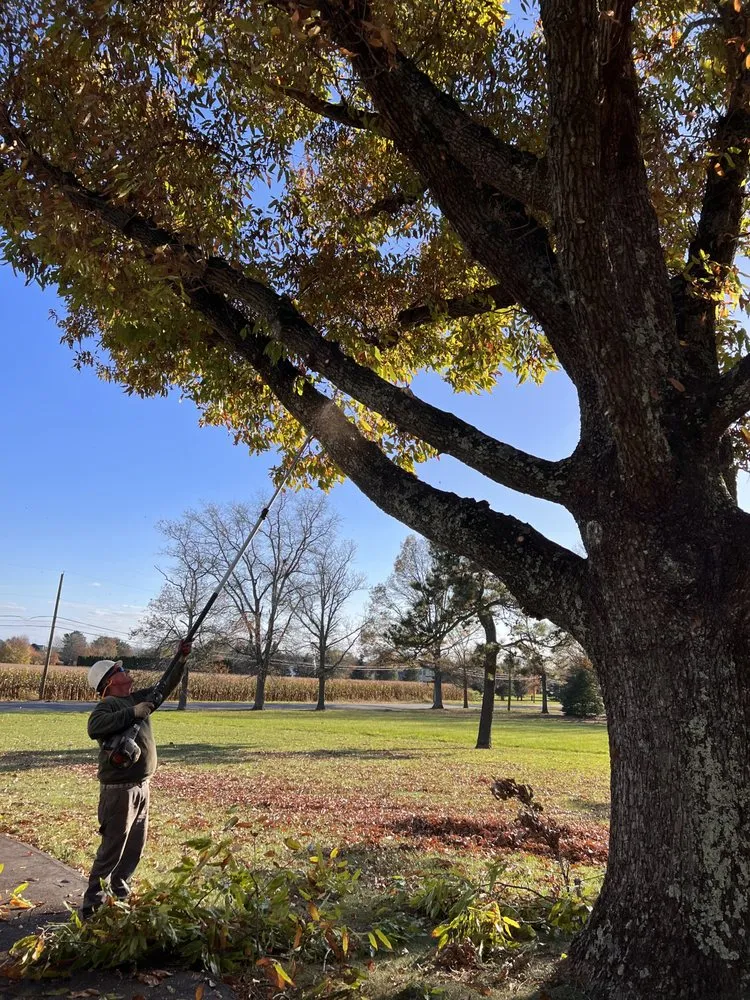 Local garden landscaping experts serving Vineland, NJ - J Fazzio Inland Tree and Landscaping Services