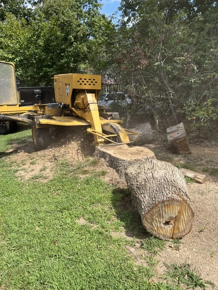 Professional landscape installation in Vineland, NJ by J Fazzio Inland Tree and Landscaping Services