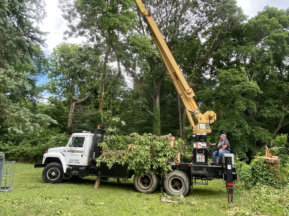 Custom landscape design for beautiful yards across Vineland, NJ - J Fazzio Inland Tree and Landscaping Services