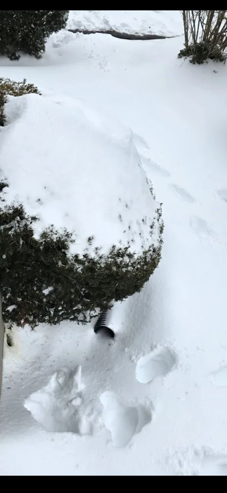 Reliable yard maintenance experts serving Roosevelt, NY - J Fernandez Landscaping