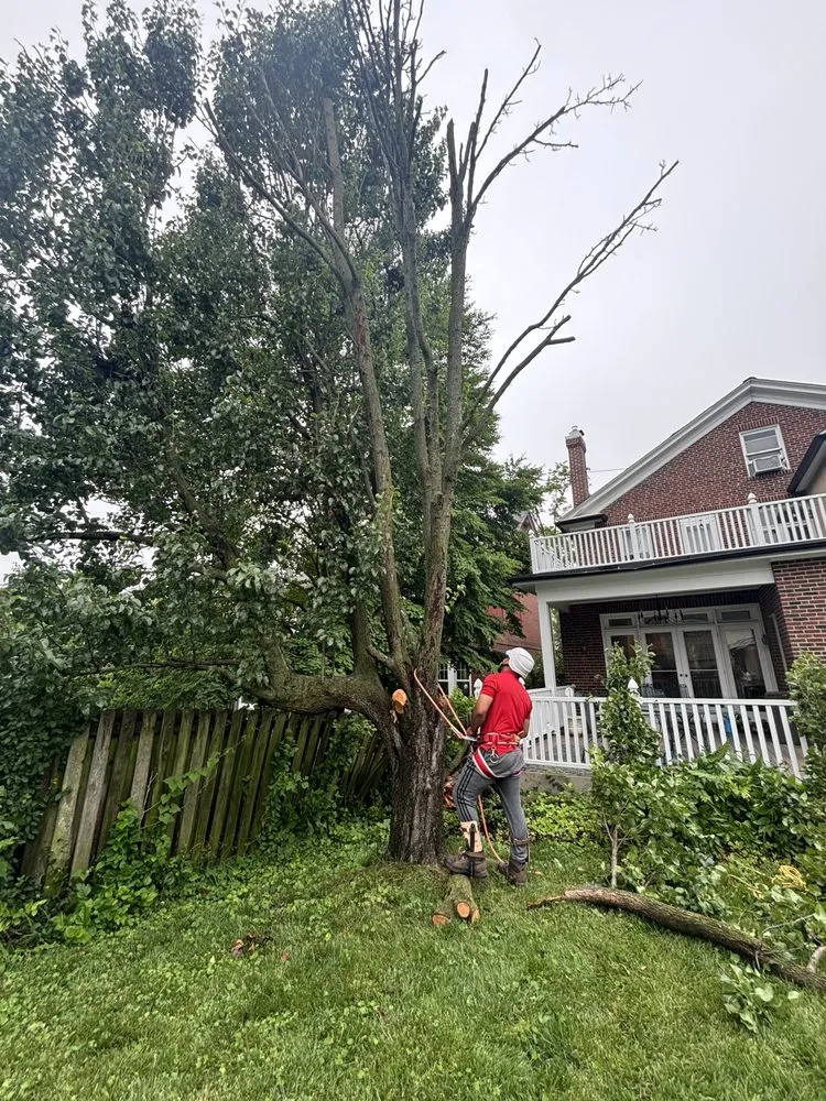 Reliable yard maintenance for beautiful yards across Olivette, MO - J Finney Services