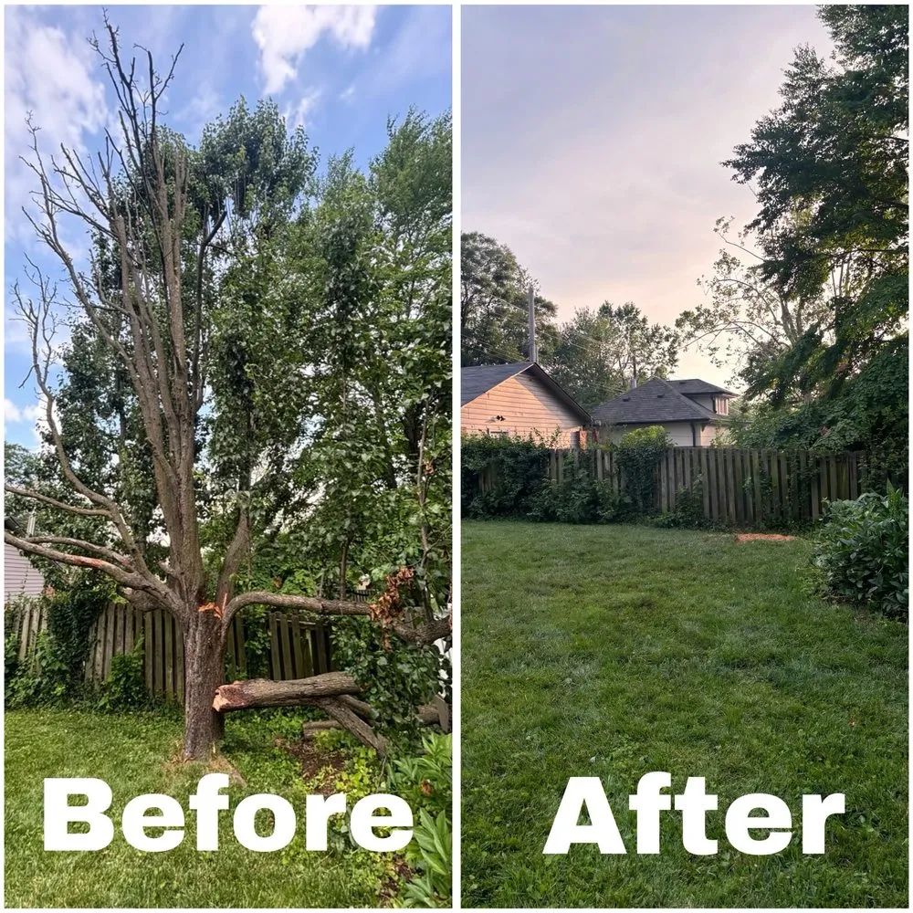 Custom yard maintenance in Olivette, MO - J Finney Services