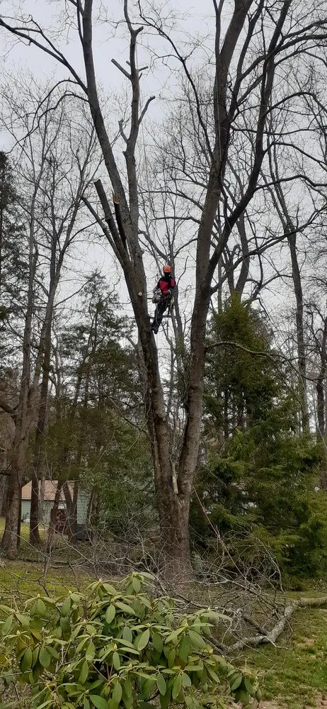 Expert outdoor landscaping for outdoor upgrades in Richmond, VA by J G Landscaping Service