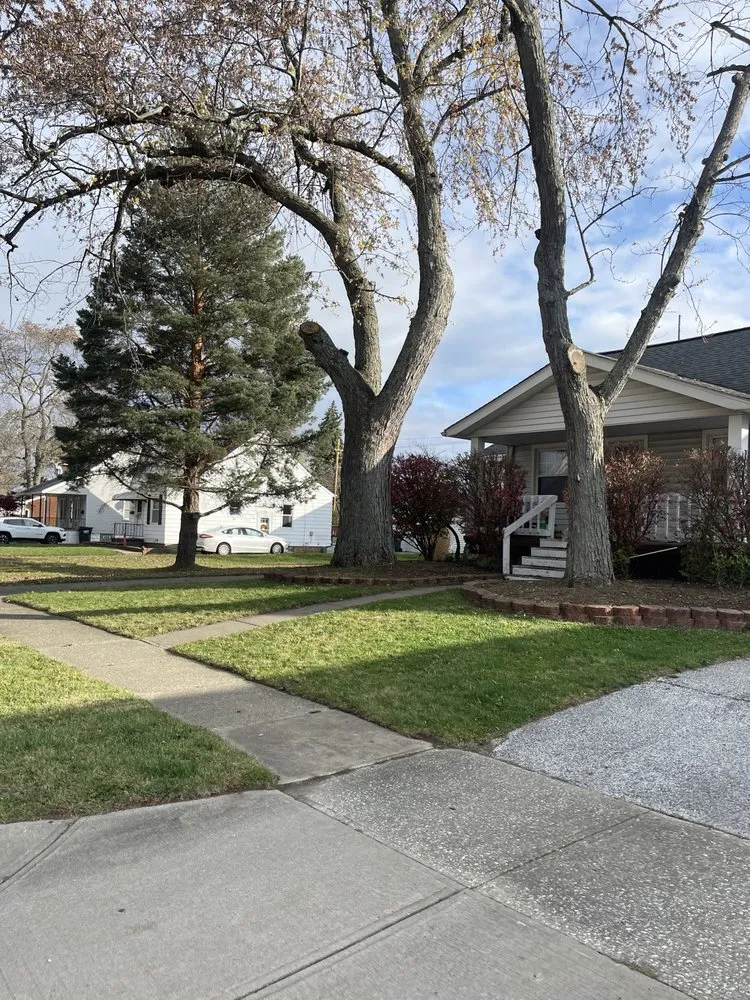 Affordable yard maintenance experts serving Cleveland, OH - J G Supremelandscaping