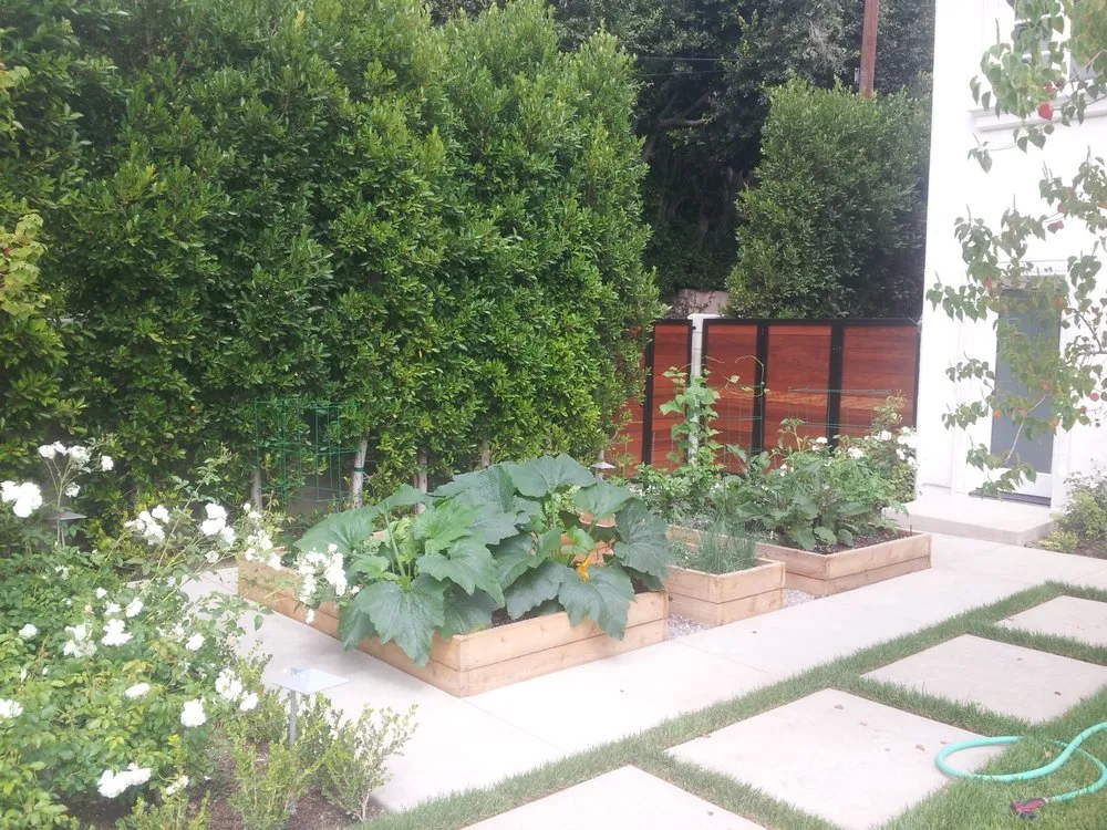 Top-rated garden landscaping in Hermosa Beach, CA by J Goldman Landscaping