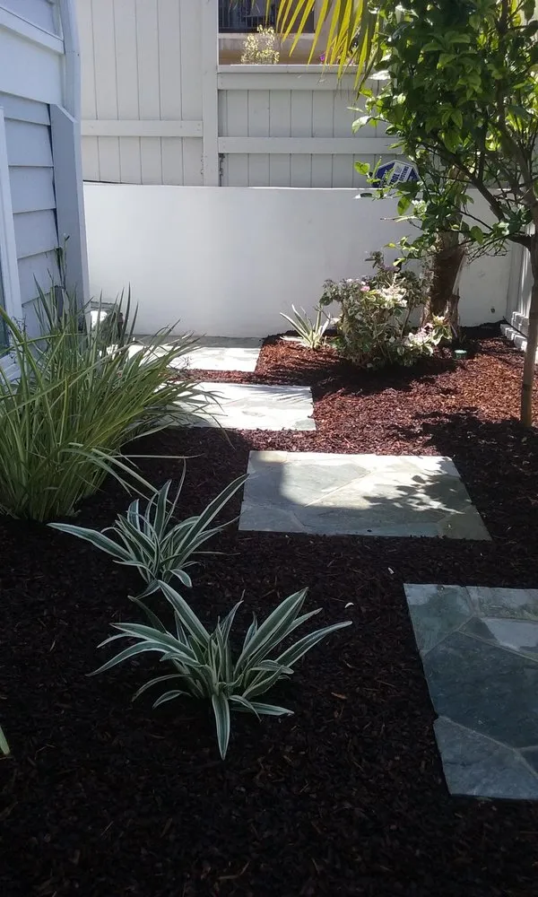 Trusted landscaping services in Hermosa Beach, CA by J Goldman Landscaping