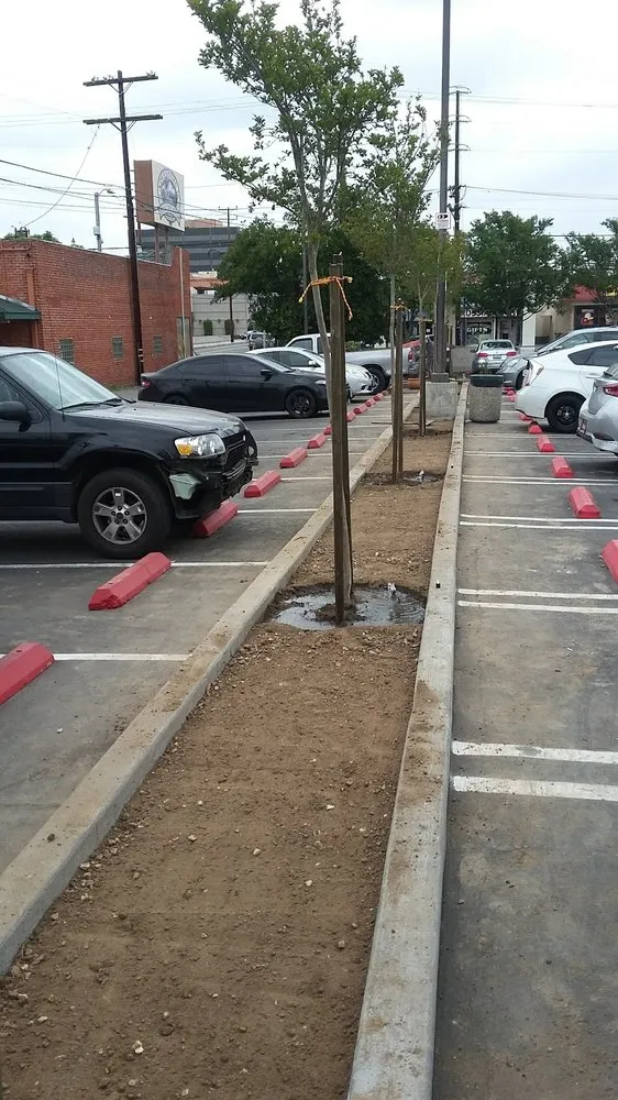 Affordable yard maintenance in Palmdale, CA - J Gonzalez