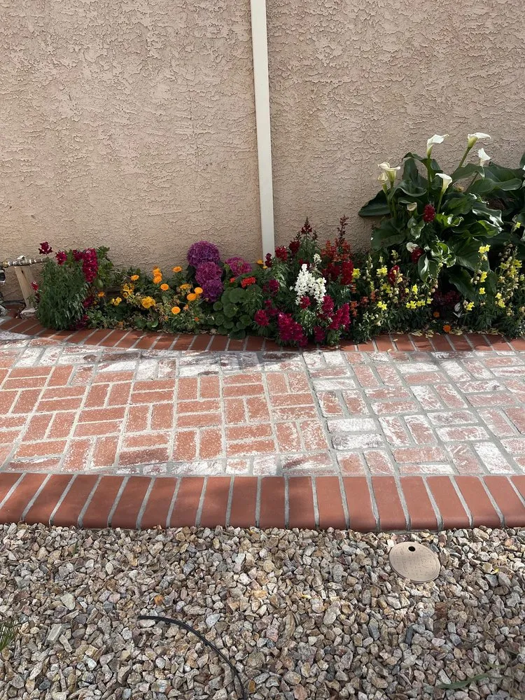 Reliable yard maintenance in Palmdale, CA - J Gonzalez