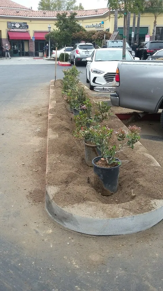 Affordable landscape design with custom design in Palmdale, CA by J Gonzalez