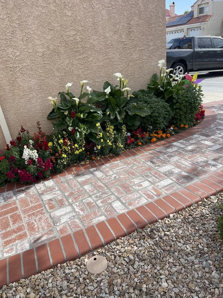 Top-rated landscaping services in Palmdale, CA - J Gonzalez