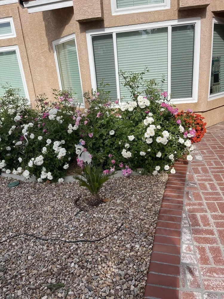 Top-rated landscaping services for residential properties across Palmdale, CA - J Gonzalez