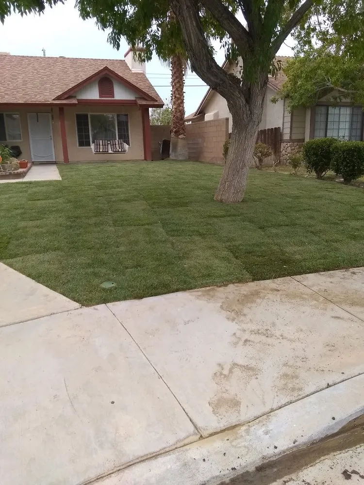 Professional lawn care service with custom design in Palmdale, CA by J Gonzalez