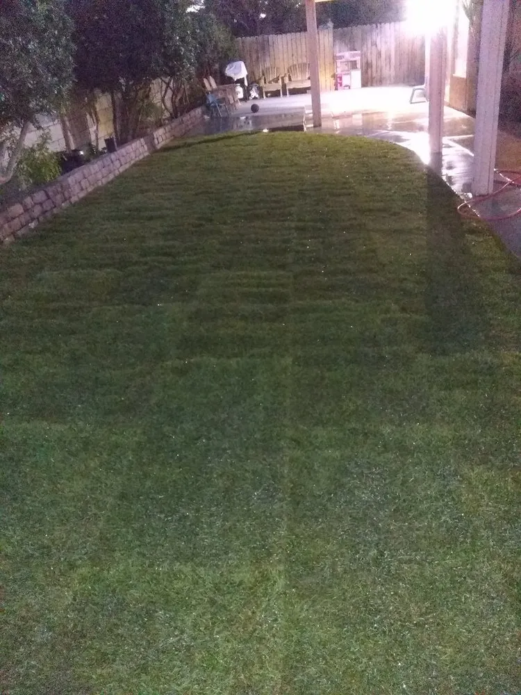 Professional yard maintenance in Palmdale, CA by J Gonzalez