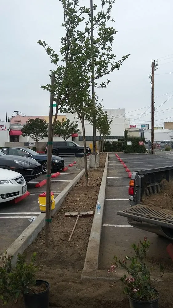 Top-rated garden landscaping for outdoor upgrades across Palmdale, CA - J Gonzalez