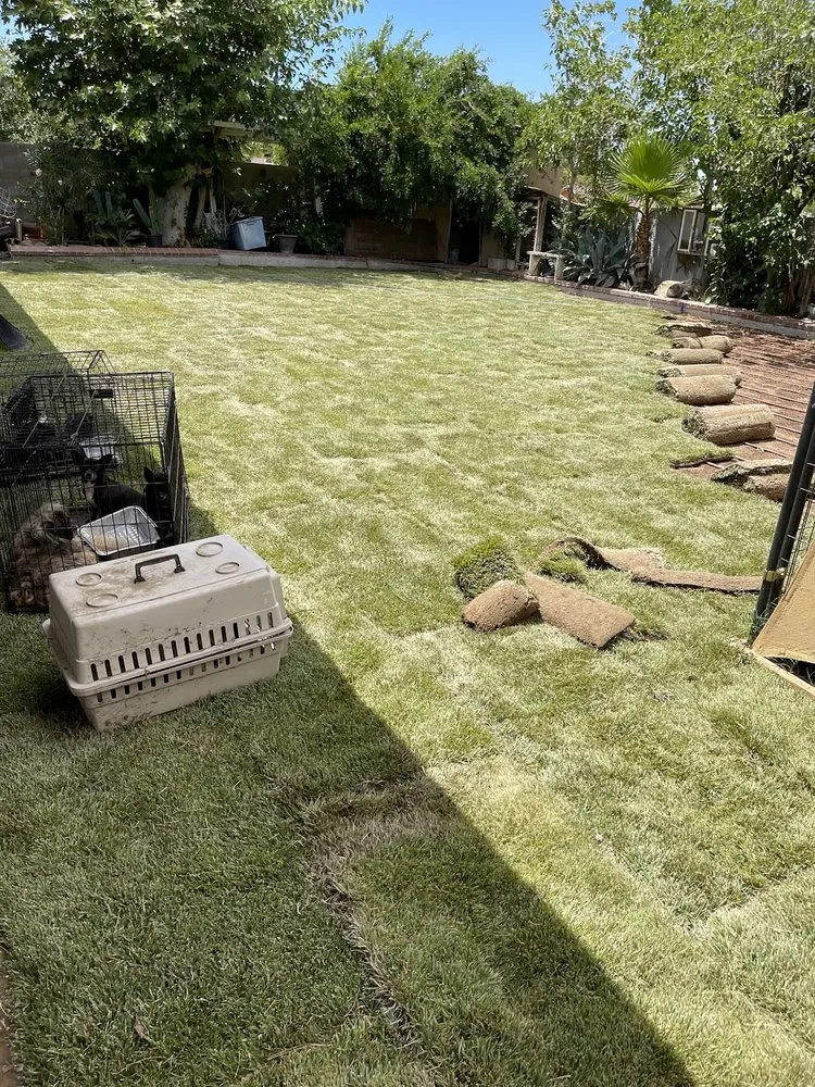 Expert landscape installation in Palmdale, CA - J Gonzalez