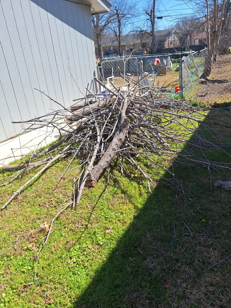 Reliable lawn care service in Burleson, TX by J Green Lawn And Tree Service