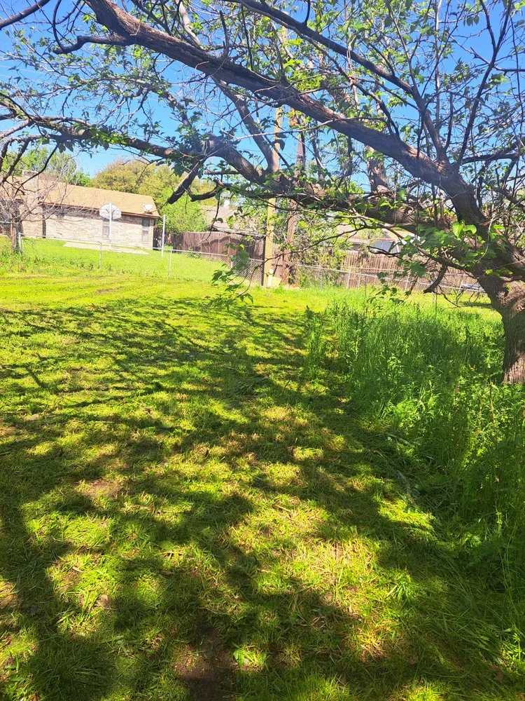 Top-rated residential landscaping experts serving Burleson, TX - J Green Lawn And Tree Service