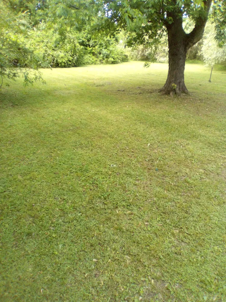 Reliable landscaping services in Gadsden, AL - J H Lawn Service