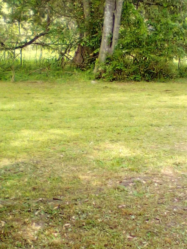 Trusted landscape installation in Gadsden, AL - J H Lawn Service