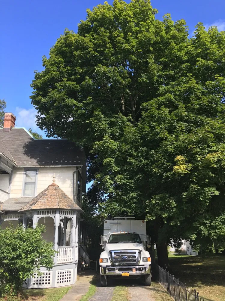 Custom yard maintenance in Middletown, NY - J H M Tree Service