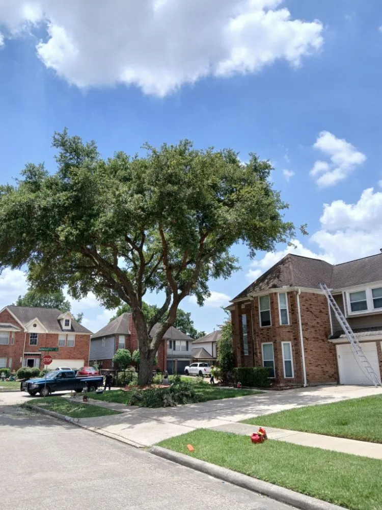 Affordable garden landscaping in Dayton, TX by J& H Trees