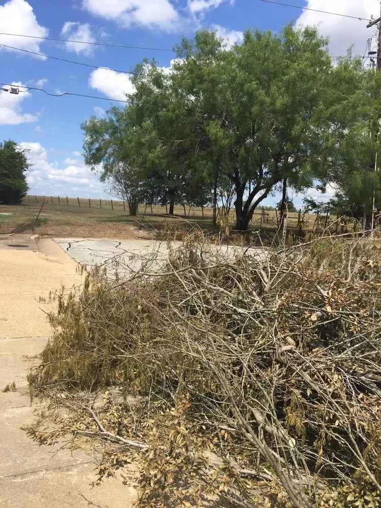 Professional lawn care service in College Station, TX - J. Hampton Enterprises