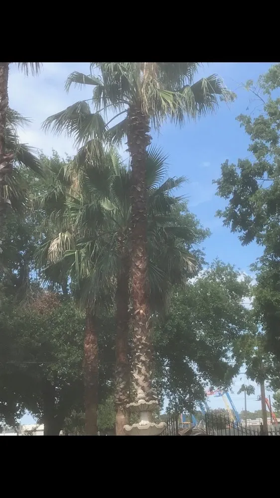 Expert landscaping services for residential properties across College Station, TX - J. Hampton Enterprises